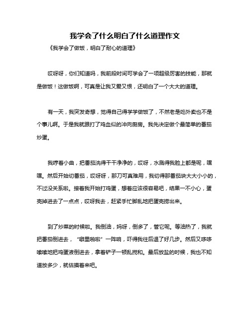 我学会了什么明白了什么道理作文