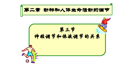 人教版高中生物必修三第二章第三节神经调节和体液调节的关系教学课件 (共17张PPT)