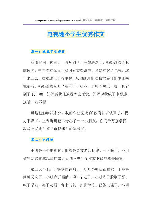 电视迷小学生优秀作文