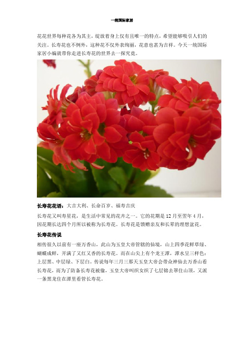 寓意吉祥的长寿花居然还有这样一个美丽的传说!