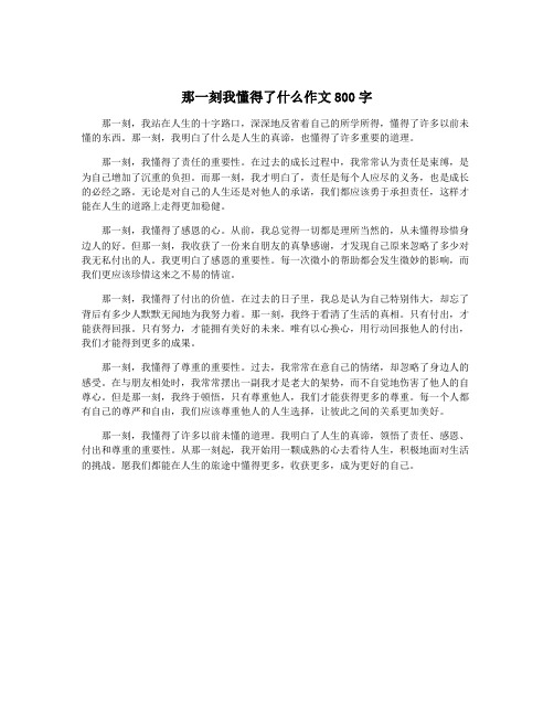 那一刻我懂得了什么作文800字