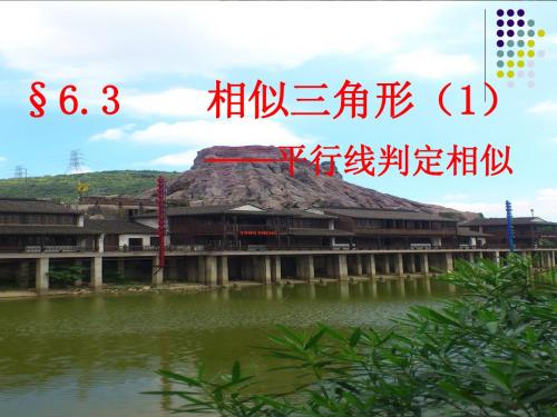 23.3相似三角形(1)平行线判定三角形相似