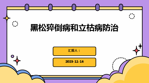 黑松猝倒病和立枯病防治