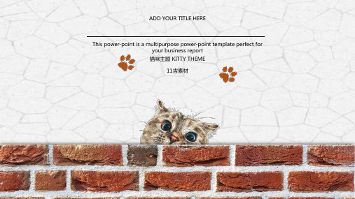 简笔画可爱卡通宠物行业PPT模板呆萌猫咪狗萌宠物店动物医生课件 (44)