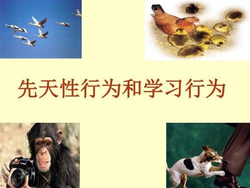 第二章 动物的运动和行为(课件+教案+练习)-5.ppt