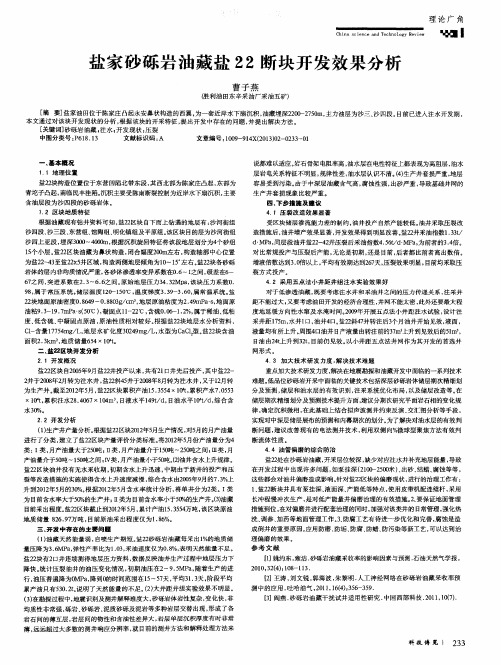 盐家砂砾岩油藏盐22断块开发效果分析