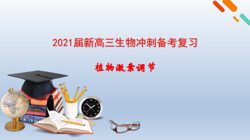 2021届新高三生物冲刺备考复习 植物激素调节