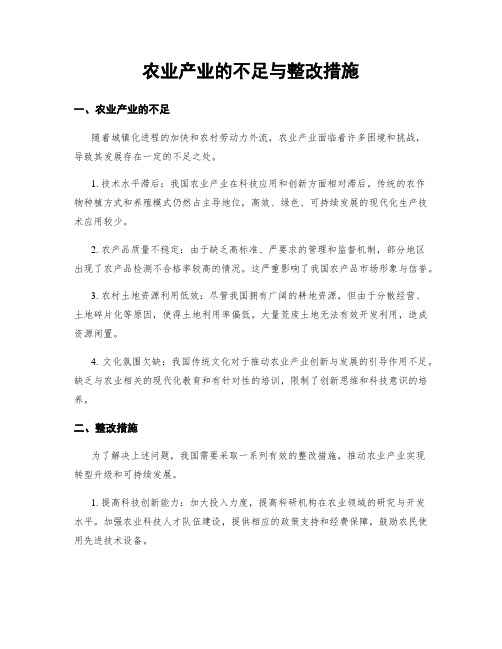 农业产业的不足与整改措施