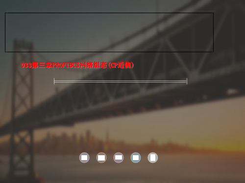 033第三章PROFIBUS网络组态(CP通信)