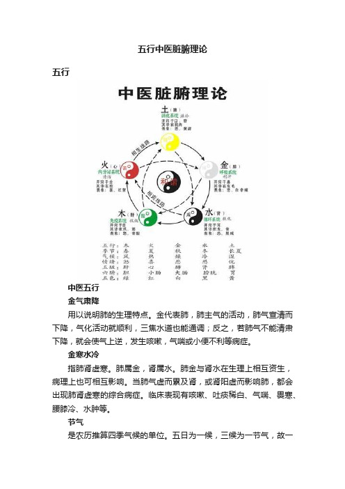 五行中医脏腑理论