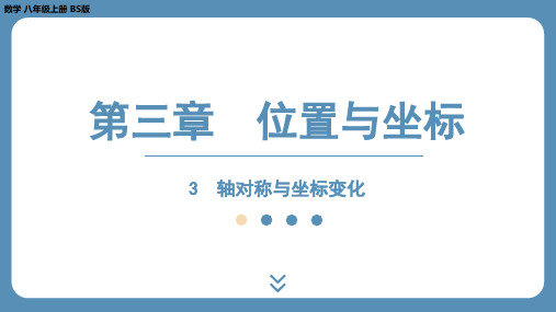 2024-2025学年度北师版八上数学3.3轴对称与坐标变化(课外培优课件)