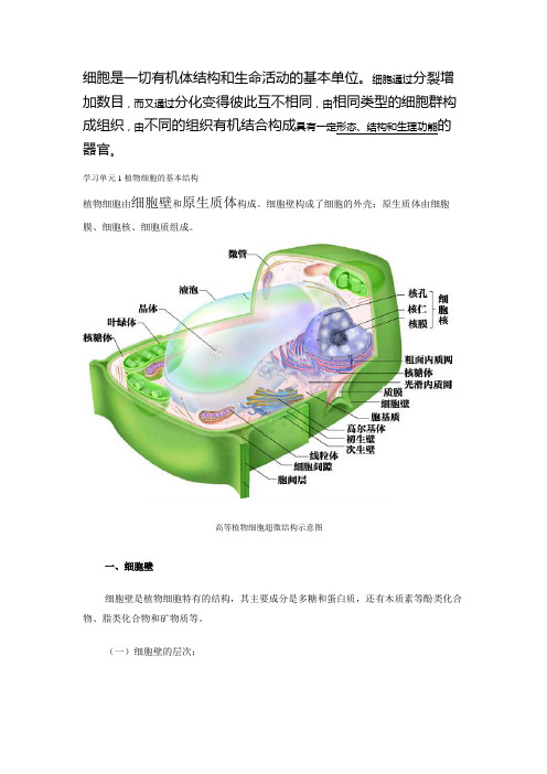 植物细胞与组织