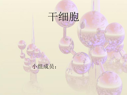 细胞生物学-干细胞