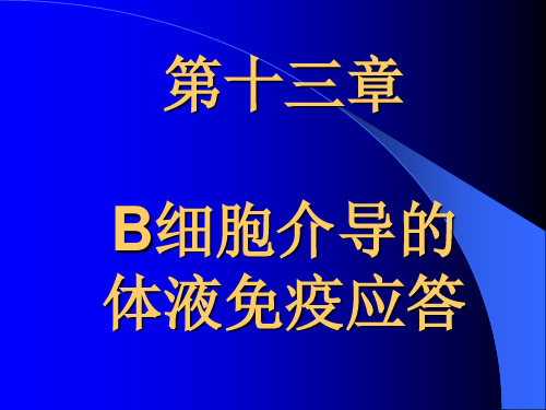 第十三章  B细胞介导的体液免疫应答