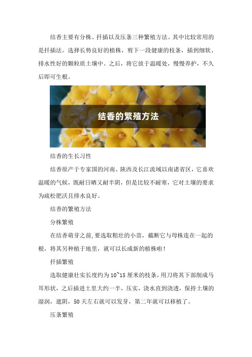 结香的繁殖方法