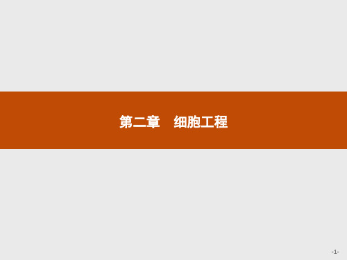 2019-2020学年高中生物苏教版选修3课件：2.1细胞工程概述 