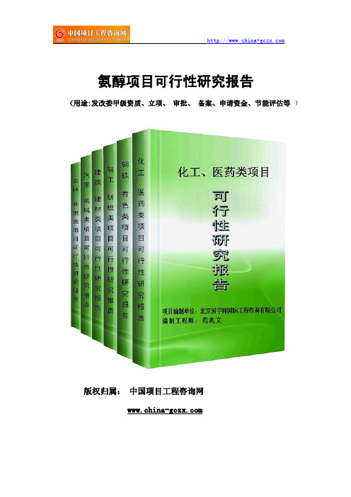 氨醇项目可行性研究报告(专业经典案例)