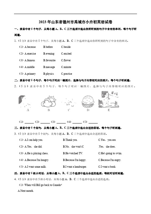 山东省德州市禹城市2023年小升初英语试卷(含解析,含听力原文,无音频)