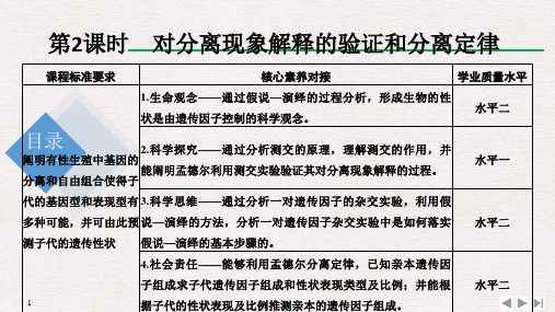 2019-2020学年 人教版 必修2 对分离现象解释的验证和分离定律 课件  (28张)