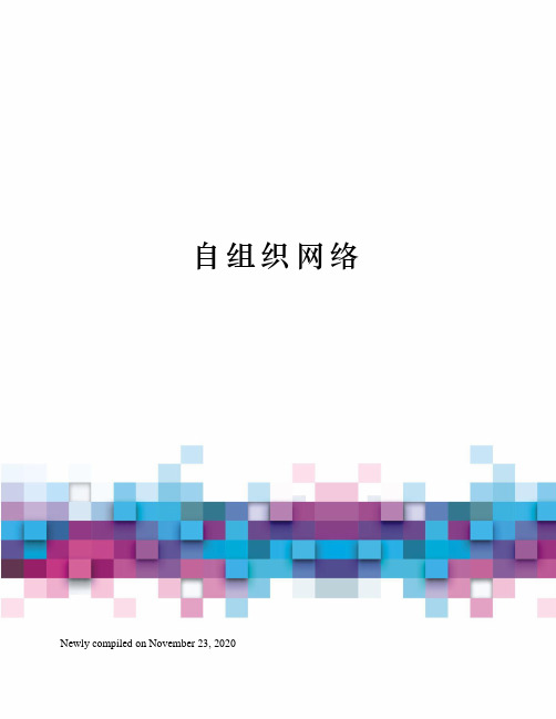 自组织网络