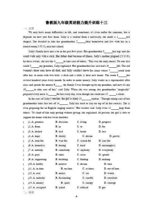 鲁教版九年级英语能力提升训练十三