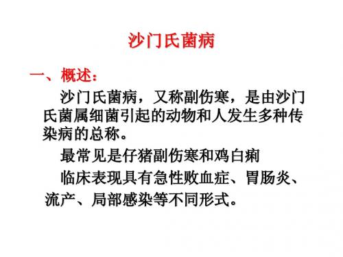 动物传染病 二、沙门氏菌病