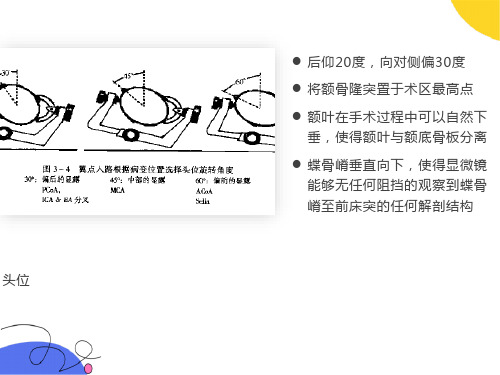 湘雅颅脑应用解剖课件