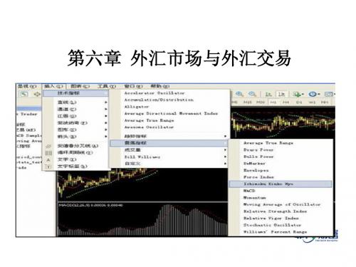 第6章 外汇市场与外汇交易