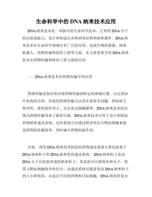 生命科学中的DNA纳米技术应用