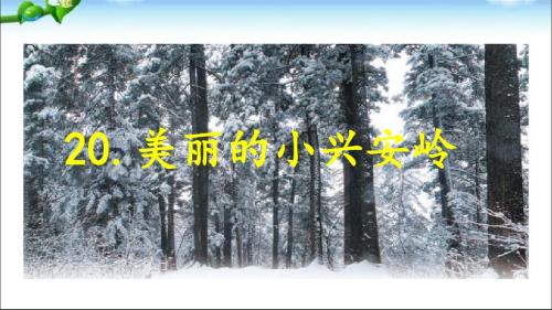 部编小学三年级上册《六单元20 美丽的小兴安岭》高定好PPT课件 一等奖新名师优质公开课获奖比赛人教版