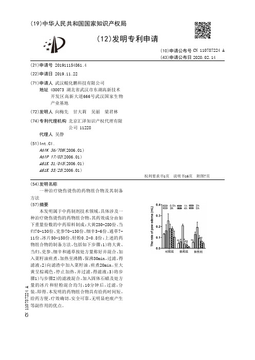 一种治疗烧伤烫伤的药物组合物及其制备方法[发明专利]