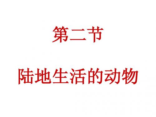 8.1.2陆地生活的动物