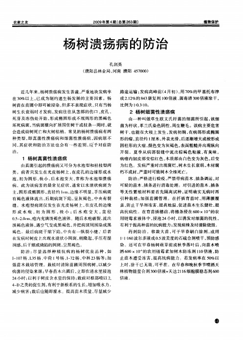 杨树溃疡病的防治