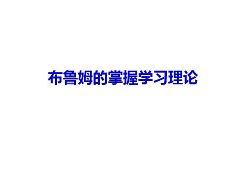 第六节、掌握学习理论与指导学习理论