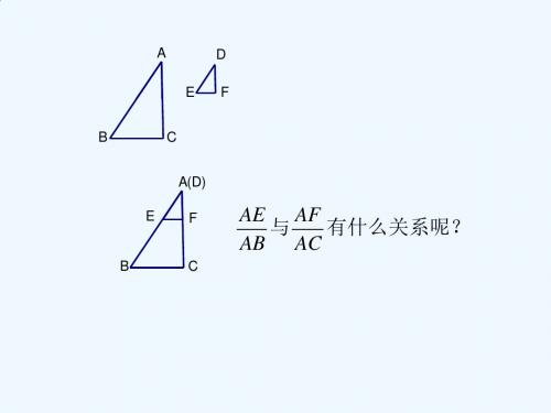 数学北师大版九年级上册平行线分线段成比例