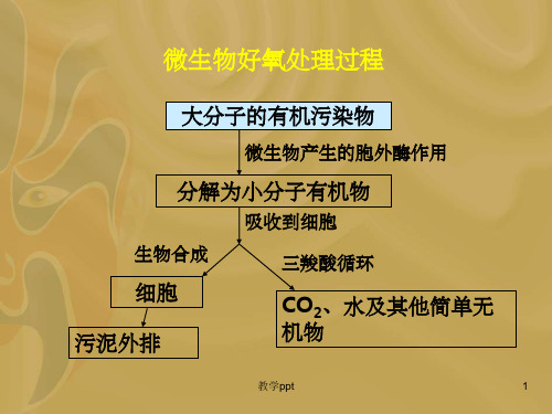 好氧生物处理技术 (2)