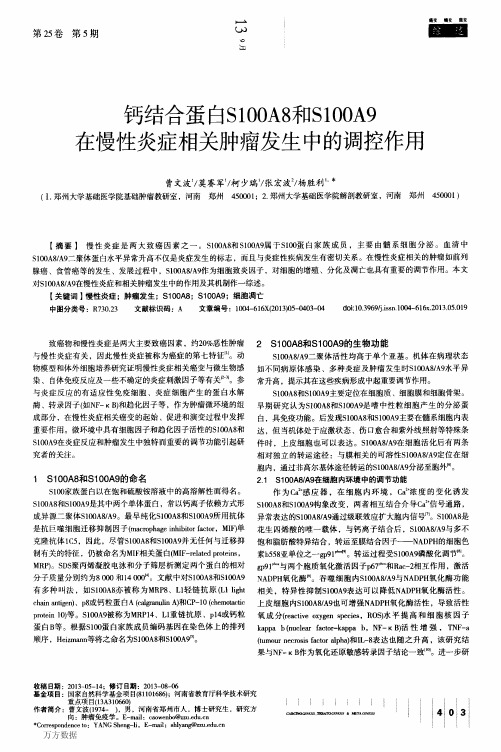 钙结合蛋白s100a8和S100A9在慢性炎症相关肿瘤发生中的调控作用