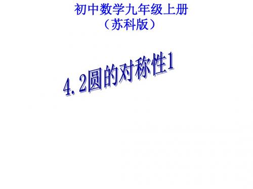 5.2圆的对称性1