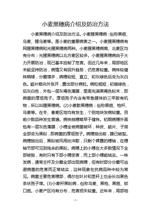 小麦黑穗病介绍及防治方法