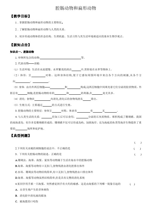 腔肠动物和扁形动物导学案人教版生物八年级上册2