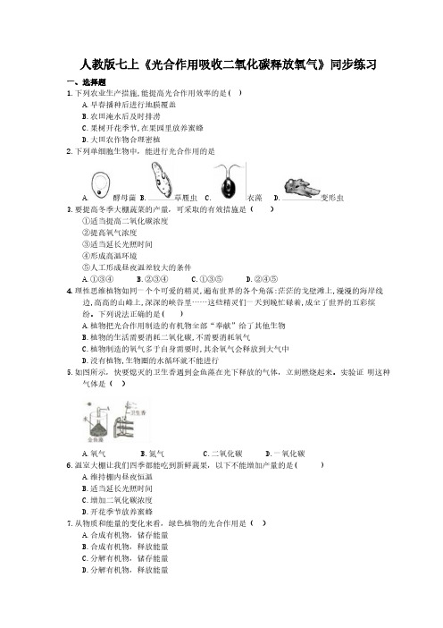 2020年人教版生物七上《光合作用吸收二氧化碳释放氧气》同步练习(含答案)