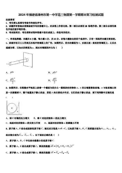 2024年福建省漳州市第一中学高三物理第一学期期末复习检测试题含解析