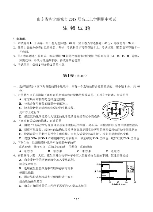 山东省济宁邹城市2019届高三上学期期中考试 生物