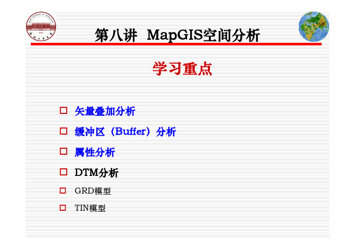 MapGIS空间分析