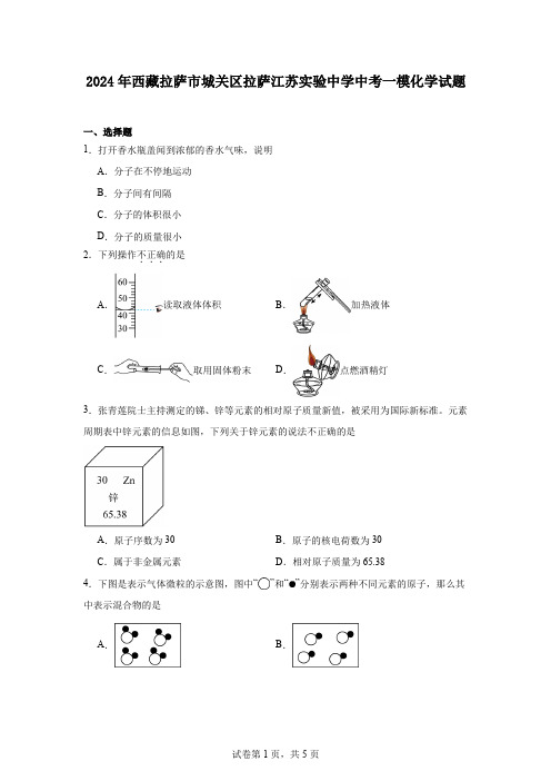 2024年西藏拉萨市城关区拉萨江苏实验中学中考一模化学试题