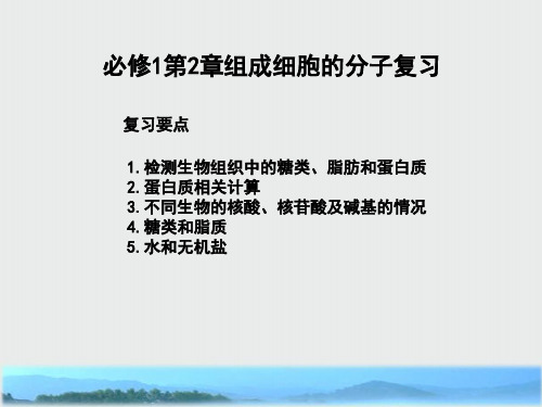 高中生物第2章组成细胞的分子复习课件新人教版必修1