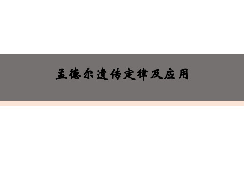 2023届高三生物一轮复习课件孟德尔遗传定律及应用