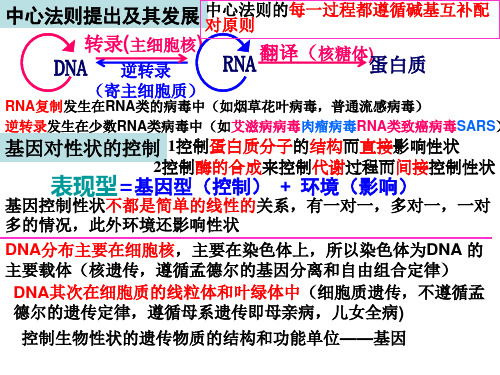 实用课件系列中心法则提出及其发展