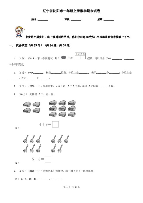 辽宁省沈阳市一年级上册数学期末试卷