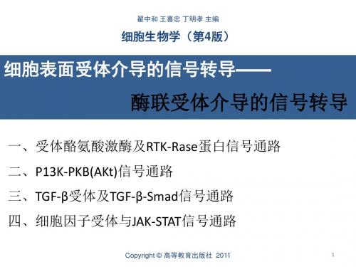 第9章--酶联受体介导的信号传导